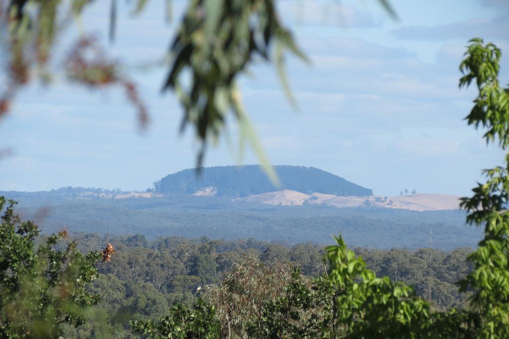 Butterworth Cottage Castlemaine Εξωτερικό φωτογραφία